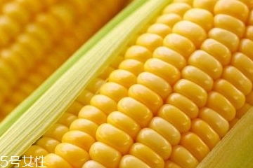 玉米油是調(diào)和油嗎 跟調(diào)和油有區(qū)別