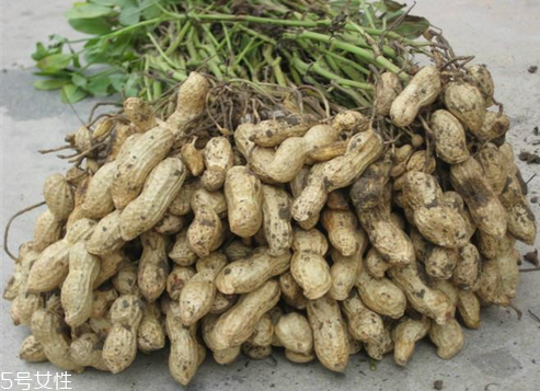 花生油保質(zhì)期 一般18個月 花生油保質(zhì)期 一般18個月