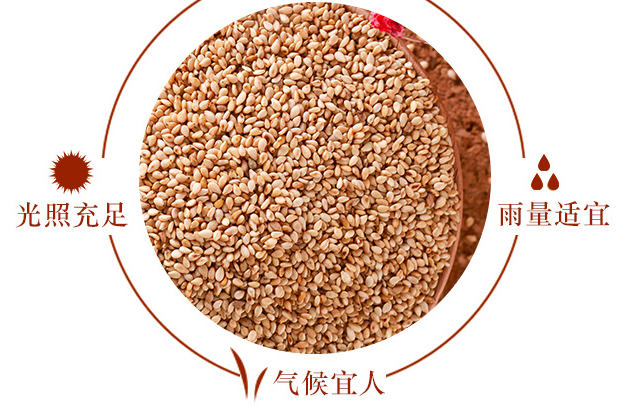 芝麻油要放冰箱嗎 放冰箱保質期更長