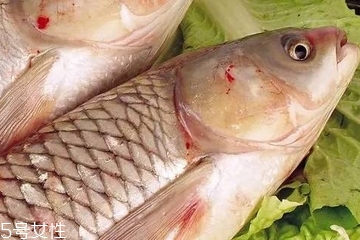 草魚(yú)是淡水魚(yú)嗎 典型的淡水魚(yú) 草魚(yú)是淡水魚(yú)嗎 典型的淡水魚(yú)