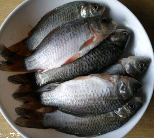 鯽魚(yú)是發(fā)物嗎 屬于發(fā)物