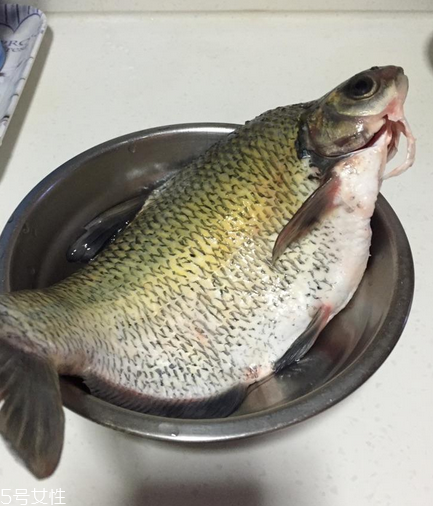 鳊魚可以做剁椒魚嗎 做起來很好吃 鳊魚可以做剁椒魚嗎 做起來很好吃