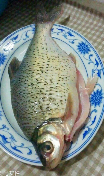 鳊魚可以做剁椒魚嗎 做起來很好吃 鳊魚可以做剁椒魚嗎 做起來很好吃