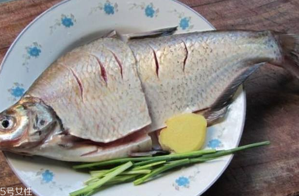 鳊魚可以做剁椒魚嗎 做起來很好吃 鳊魚可以做剁椒魚嗎 做起來很好吃