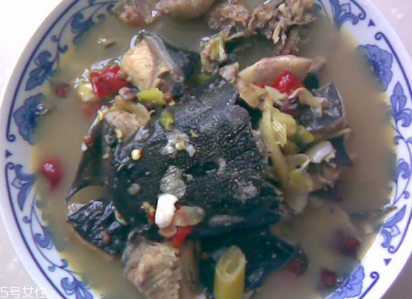 鯰魚(yú)是吃什么長(zhǎng)大的 肉食性魚(yú)類(lèi)