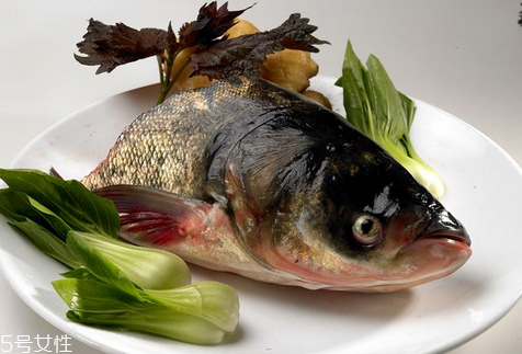 胖頭魚晚上可以釣嗎 這兩個(gè)時(shí)間段最好 胖頭魚晚上可以釣嗎 這兩個(gè)時(shí)間段最好