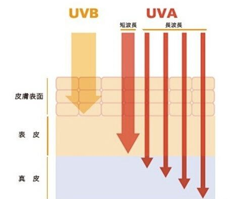 uva和uvb哪個(gè)更可怕 uva最可怕能致癌 uva和uvb哪個(gè)更可怕 uva最可怕能致癌
