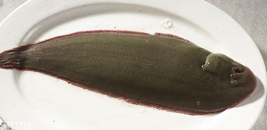 龍利魚(yú)為什么不能吃 新鮮才好吃 龍利魚(yú)為什么不能吃 新鮮才好吃