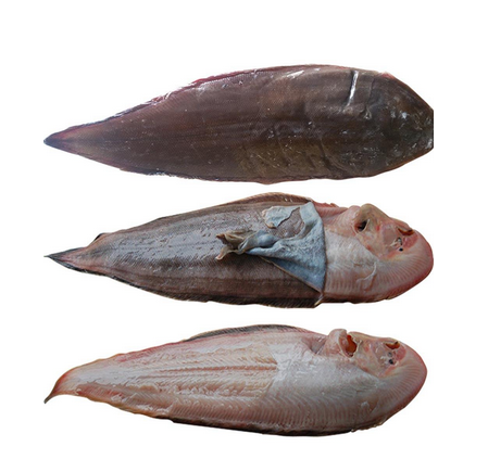 龍利魚(yú)可以做魚(yú)丸嗎 味道很鮮美