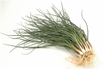 小根蒜的腌制方法 保存的最佳方法 小根蒜的腌制方法 保存的最佳方法