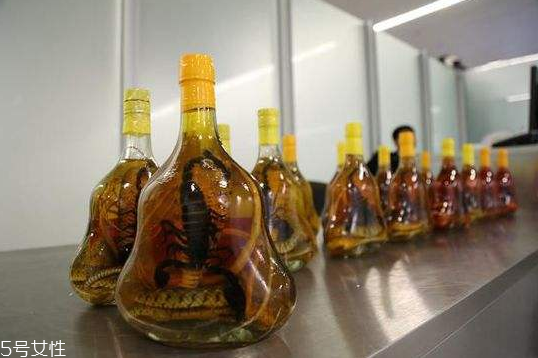 藥酒去濕氣效果好嗎 泡對了才有效 藥酒去濕氣效果好嗎 泡對了才有效