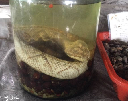 藥酒太苦可以加蜂蜜嗎 加的時機(jī)很重要