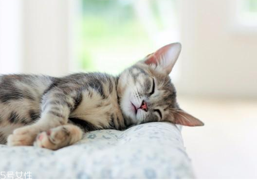 睡覺突然抖一下的原因 睡覺突然抽搐 睡覺突然抖一下的原因 睡覺突然抽搐