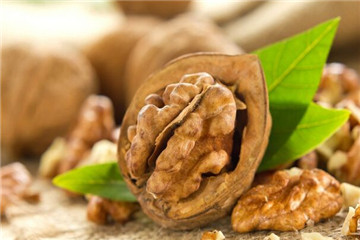 掉頭發(fā)吃核桃有用嗎 只能預防不能根治