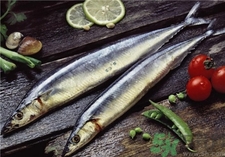 秋刀魚怎么做好吃?秋刀魚的做法 秋刀魚怎么做好吃?秋刀魚的做法