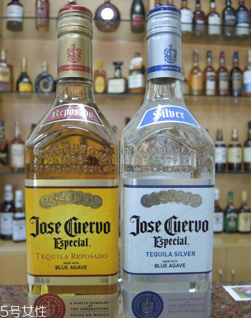 龍舌蘭酒好喝嗎 方法對了才好喝 龍舌蘭酒好喝嗎 方法對了才好喝