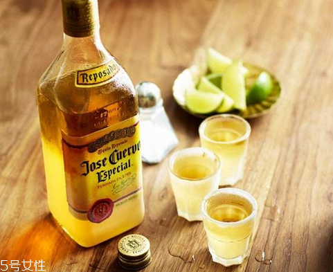 龍舌蘭酒好喝嗎 方法對了才好喝 龍舌蘭酒好喝嗎 方法對了才好喝