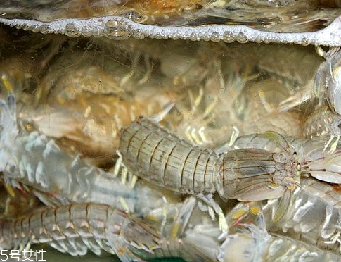 皮皮蝦怎么剝 看了就會(huì)了