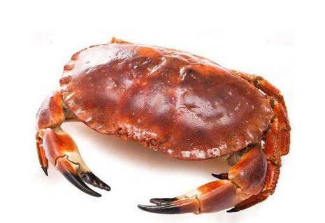 面包蟹頭部可以吃嗎 除了這些其它都可以吃 面包蟹頭部可以吃嗎 除了這些其它都可以吃