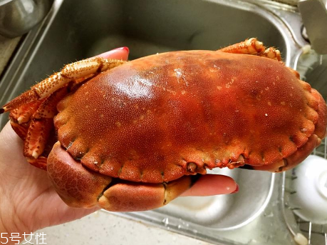 面包蟹頭部可以吃嗎 除了這些其它都可以吃 面包蟹頭部可以吃嗎 除了這些其它都可以吃