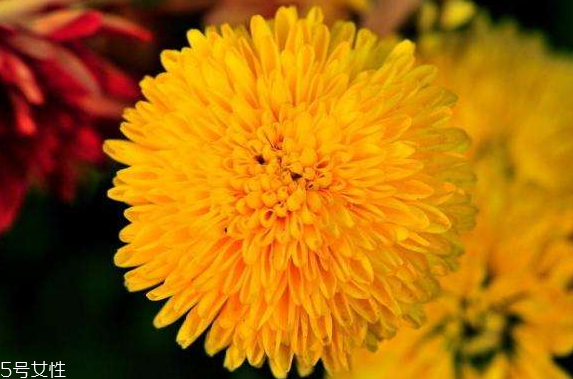 肛門脫毛到底好不好 脫掉更衛(wèi)生健康 肛門脫毛到底好不好 脫掉更衛(wèi)生健康