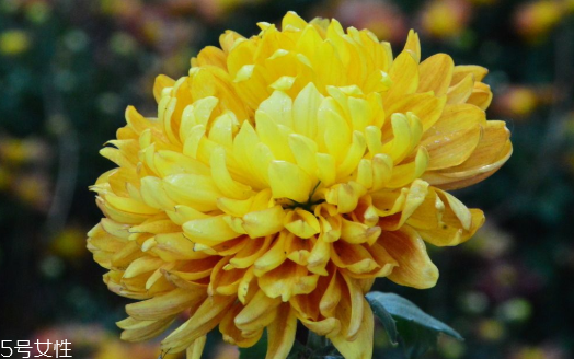 肛周脫毛的正確方法 激光脫毛是最安全選擇 肛周脫毛的正確方法 激光脫毛是最安全選擇