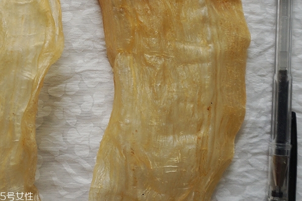 花膠要燉多久 最少是半小時 花膠要燉多久 最少是半小時