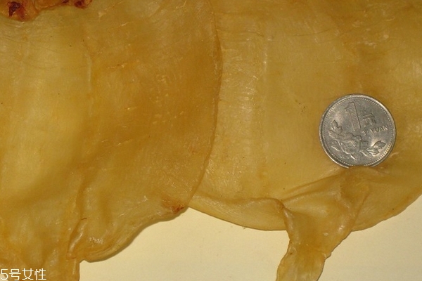 花膠要燉多久 最少是半小時 花膠要燉多久 最少是半小時