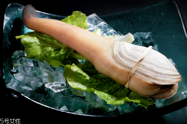 象拔蚌味道怎么樣 鮮味十足 象拔蚌味道怎么樣 鮮味十足