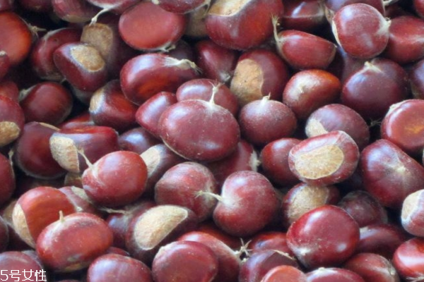 板栗可以和胡蘿卜一起吃嗎 這個可以搭配 板栗可以和胡蘿卜一起吃嗎 這個可以搭配