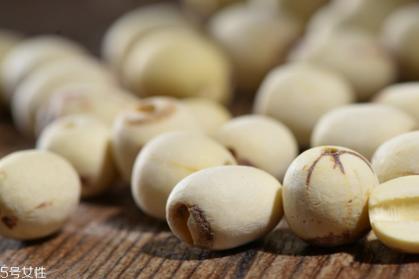 蓮子為什么要磨皮 因?yàn)轭佒祮?wèn)題 蓮子為什么要磨皮 因?yàn)轭佒祮?wèn)題