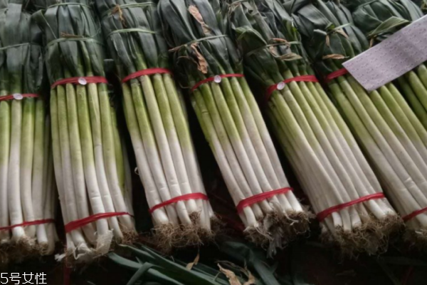 為什么喜歡吃大蔥 是一種飲食習(xí)慣 為什么喜歡吃大蔥 是一種飲食習(xí)慣