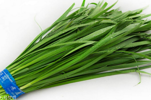韭菜為什么要割三次 種韭菜必須知道這些 韭菜為什么要割三次 種韭菜必須知道這些