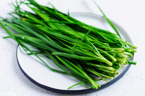 韭菜有什么營養(yǎng) 韭菜的營養(yǎng)成分很高 韭菜有什么營養(yǎng) 韭菜的營養(yǎng)成分很高