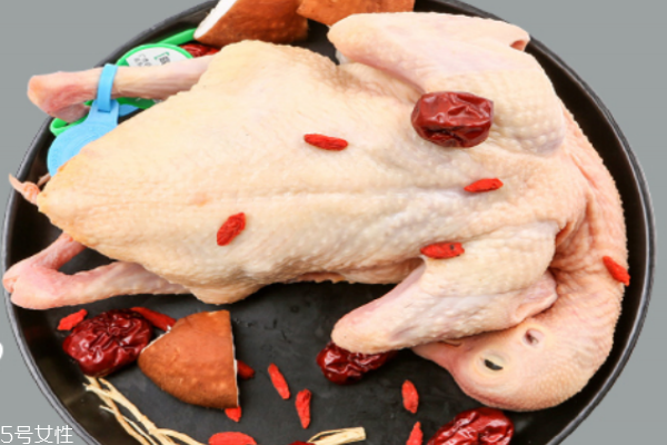 鴿子肉為什么是紅色的 因為沒放血 鴿子肉為什么是紅色的 因為沒放血