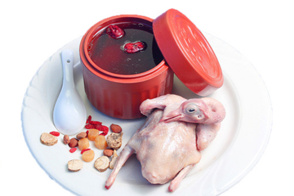 鴿子肉能天天吃嗎 不建議天天吃 鴿子肉能天天吃嗎 不建議天天吃