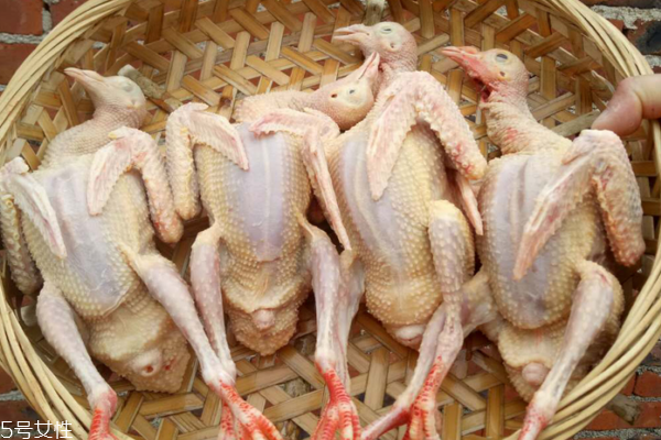 鴿子肉能壯陽(yáng)嗎 中醫(yī)上有這個(gè)說(shuō)法 鴿子肉能壯陽(yáng)嗎 中醫(yī)上有這個(gè)說(shuō)法