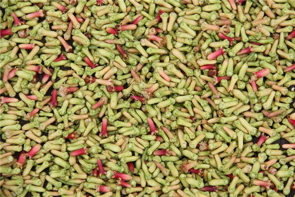 丁香是什么調(diào)料 苦辣又甘醇 丁香是什么調(diào)料 苦辣又甘醇