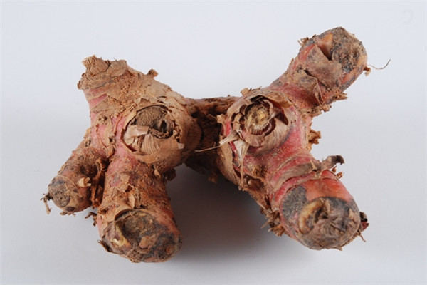 南姜是什么 南姜怎么保存 南姜是什么 南姜怎么保存