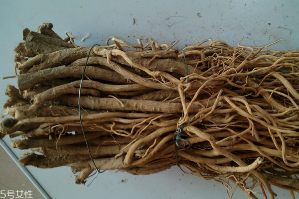 黃芪為什么會(huì)生蟲 這個(gè)是正?，F(xiàn)象