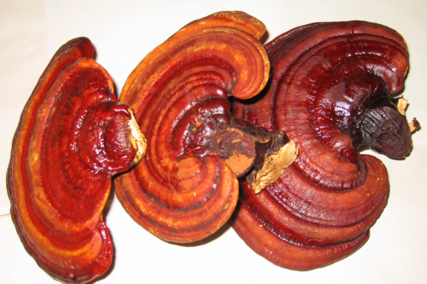 靈芝是什么味道 一般都是苦 靈芝是什么味道 一般都是苦