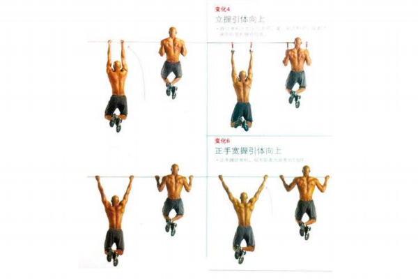 引體向上可以練胸肌嗎 引體向上練胸肌的方法 引體向上可以練胸肌嗎 引體向上練胸肌的方法