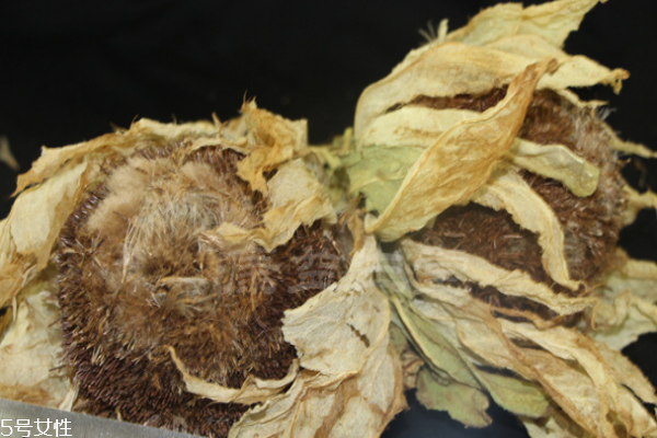 天山雪蓮價(jià)格 價(jià)格昂貴 天山雪蓮價(jià)格 價(jià)格昂貴