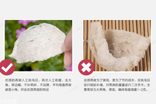 燕窩真假怎么分辨 注意3點再也不會上當(dāng)