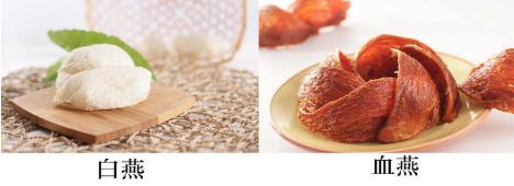 燕窩真假怎么分辨 注意3點再也不會上當(dāng)