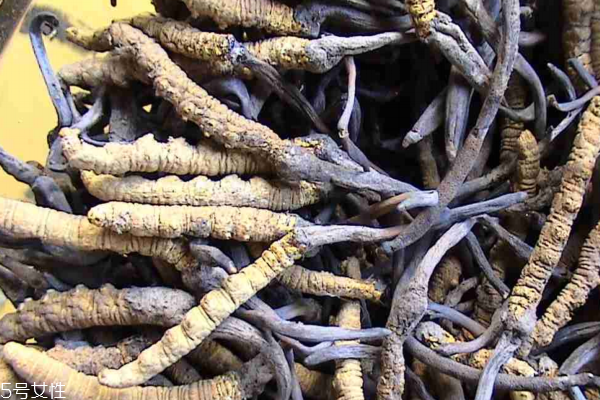 冬蟲(chóng)夏草怎么煲湯 蟲(chóng)草雞湯配方 冬蟲(chóng)夏草怎么煲湯 蟲(chóng)草雞湯配方