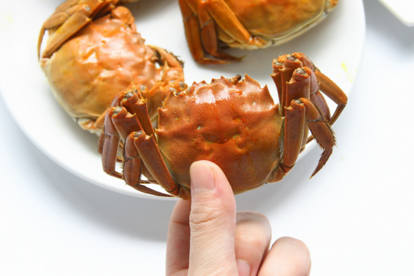 大閘蟹有哪些品種 常見(jiàn)的有五種 大閘蟹有哪些品種 常見(jiàn)的有五種