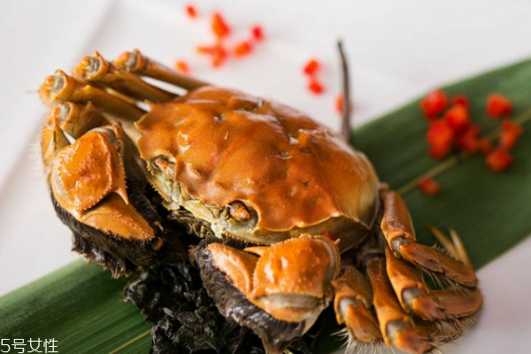 大閘蟹有哪些品種 常見(jiàn)的有五種 大閘蟹有哪些品種 常見(jiàn)的有五種