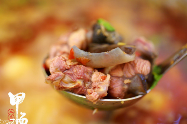 甲魚對身體有什么好處 好處多多 甲魚對身體有什么好處 好處多多