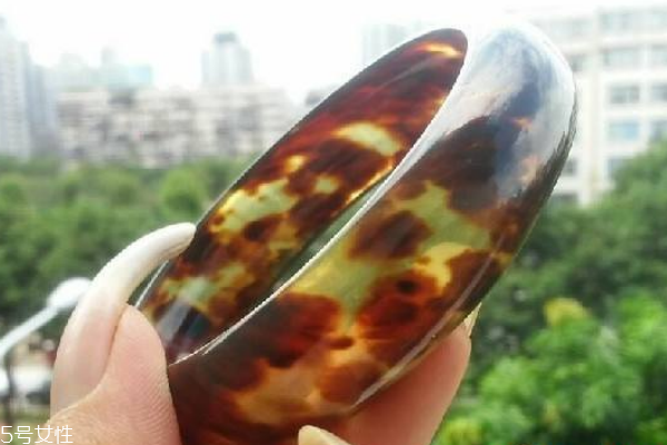 玳瑁手鐲怎么保養(yǎng) 這些事項要注意 玳瑁手鐲怎么保養(yǎng) 這些事項要注意